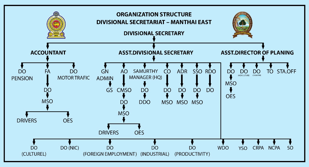 org chart
